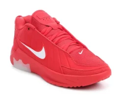 Men's Nike Lebron Witness IX Basketball Shoes