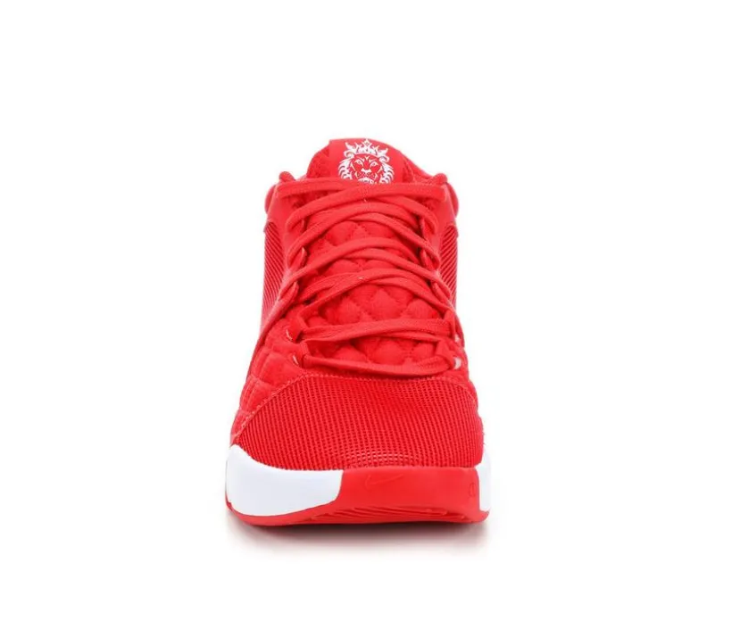 Men's Nike Lebron Witness VIII Basketball Shoes