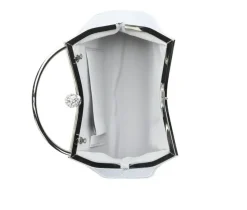 Vanessa Small Pleated Clutch with 2 straps